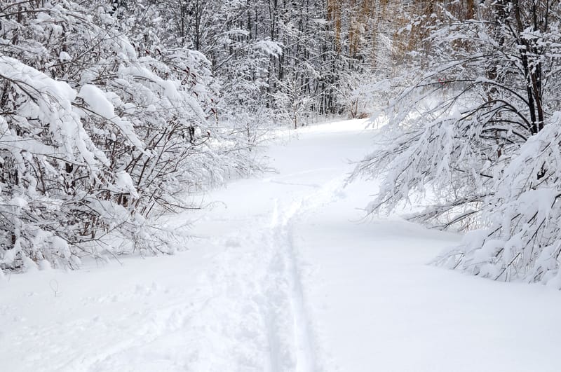 Maltempo in Campania con bufere di neve e vento, nevica anche ad Avellino