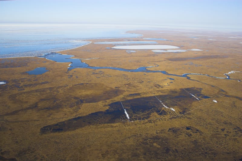 Dall’ice al ferro: i fiumi “arrugginiti” dell’Alaska e l’effetto dello scongelamento del permafrost