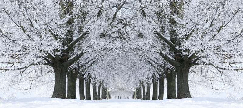 Meteo prevede neve e gelo in arrivo in Italia