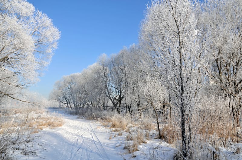 Meteo: weekend freddo e piogge da domenica in alcune regioni