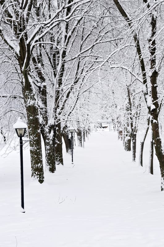 Febbraio in Italia: mese di meteo rigido e neve