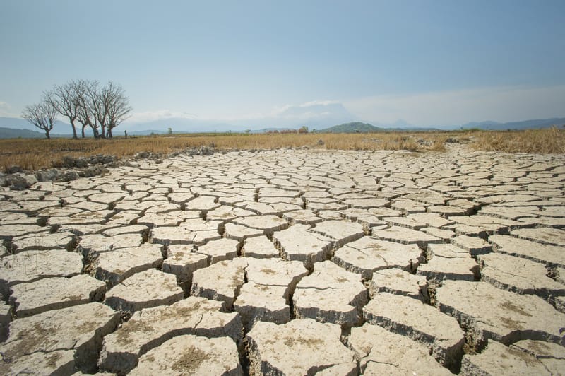 Il cambiamento climatico potrebbe essere la causa della siccità in Sud America?