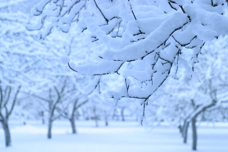 Qual è lo scenario meteo ideale per febbraio? Scopriamolo