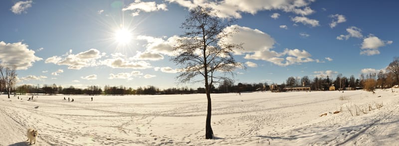 Mancanza di neve in molte regioni: meteo invernale assente