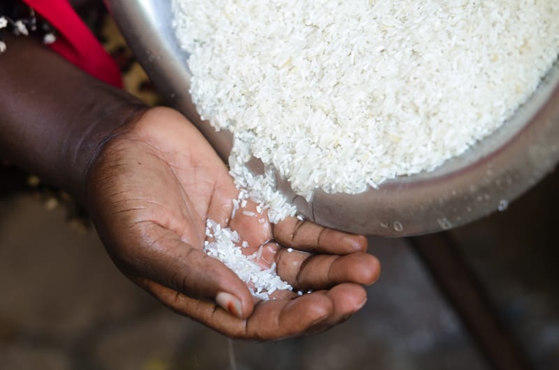 Coltivazione del riso africano collegata all’aumento del metano