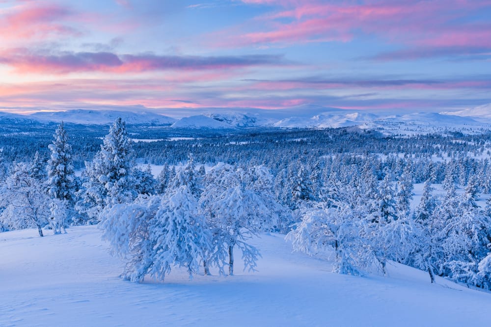 Freddo estremo in Scandinavia? Col global warming è sempre meno probabile
