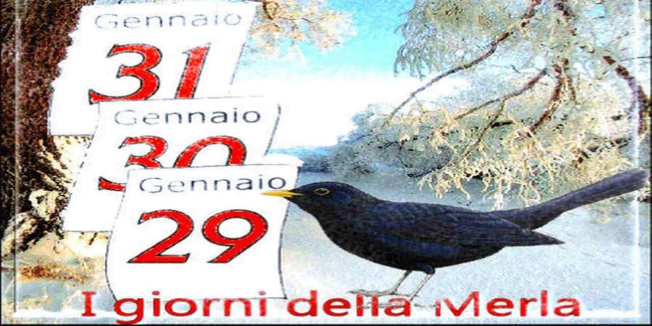 Meteo: i Giorni della Merla sono davvero i più freddi dell’anno?