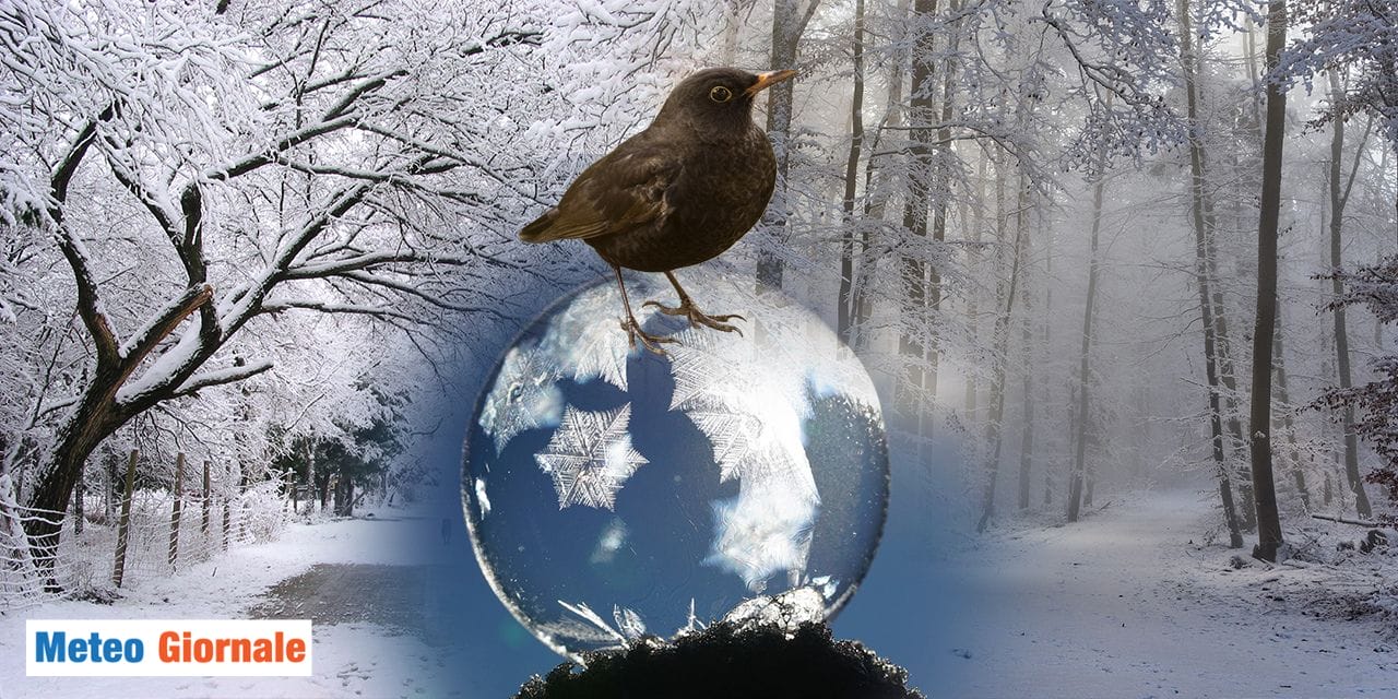 I giorni della merla: il meteo gelido con neve, ecco perché