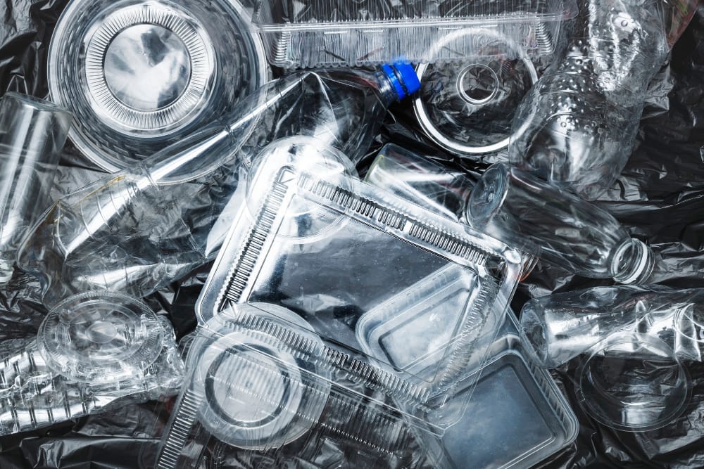 Batteri modificati mangia plastica: una nuova arma contro l’inquinamento