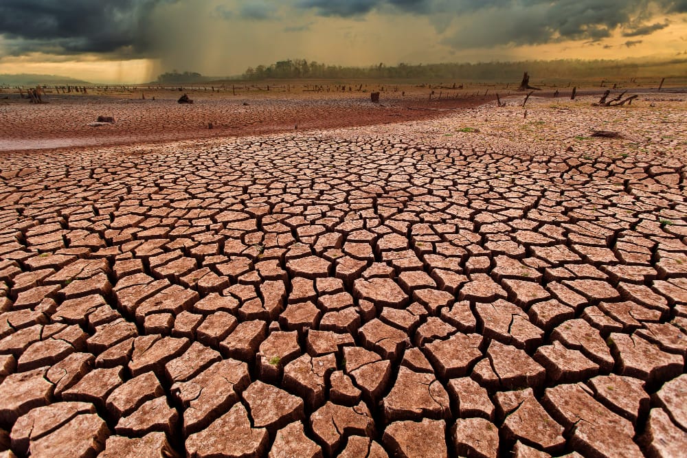 Cambiamento climatico: gli studiosi sono preoccupati per il “paradosso del deserto”