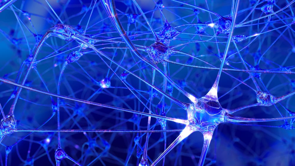 Rivluzione Synapshot: i processi del cervello osservati in tempo reale