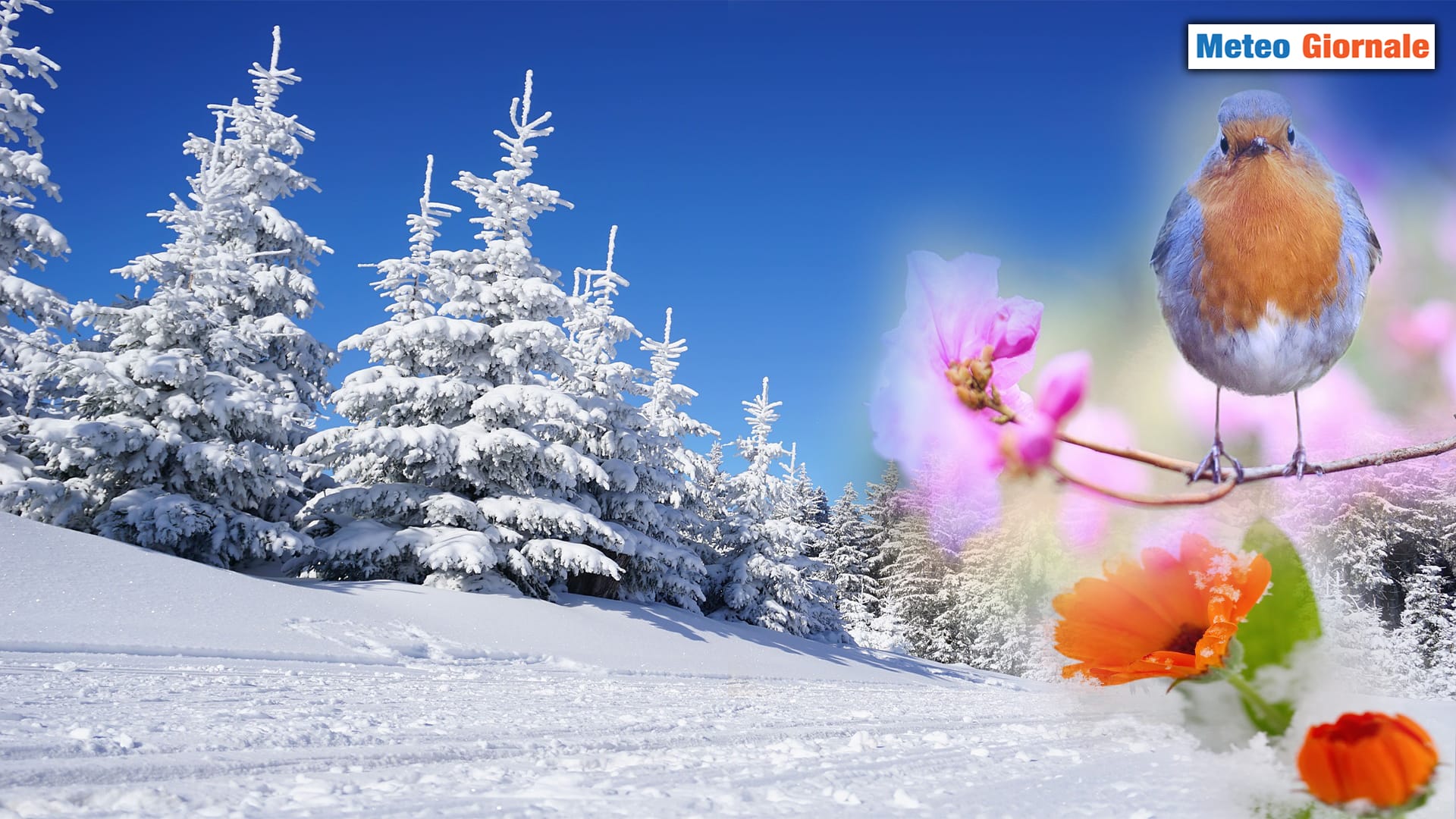 Il meteo di MARZO: il mese pazzerello tra Inverno e Primavera