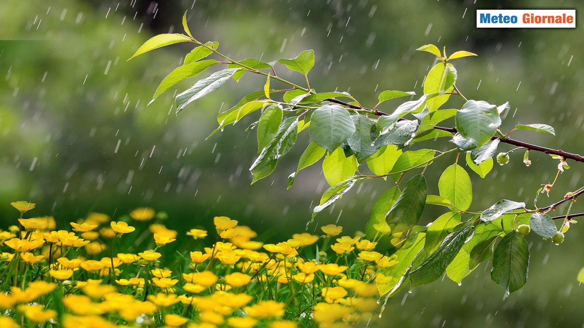 Ecco cosa servirà in PRIMAVERA: niente scuse meteo