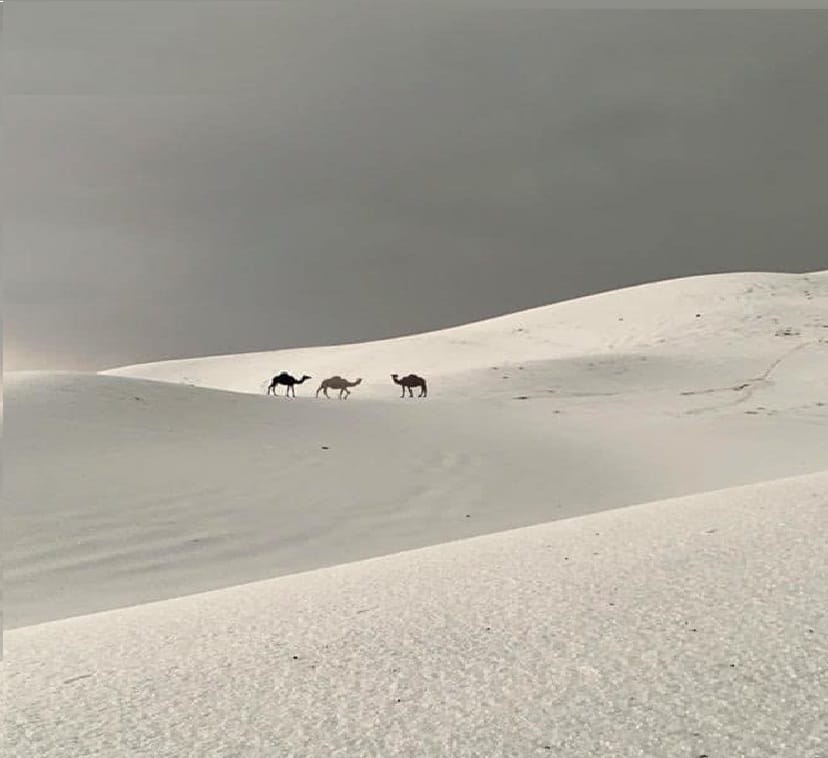 Grandinata sorprende abitanti del deserto negli Emirati Arabi durante evento meteorologico raro