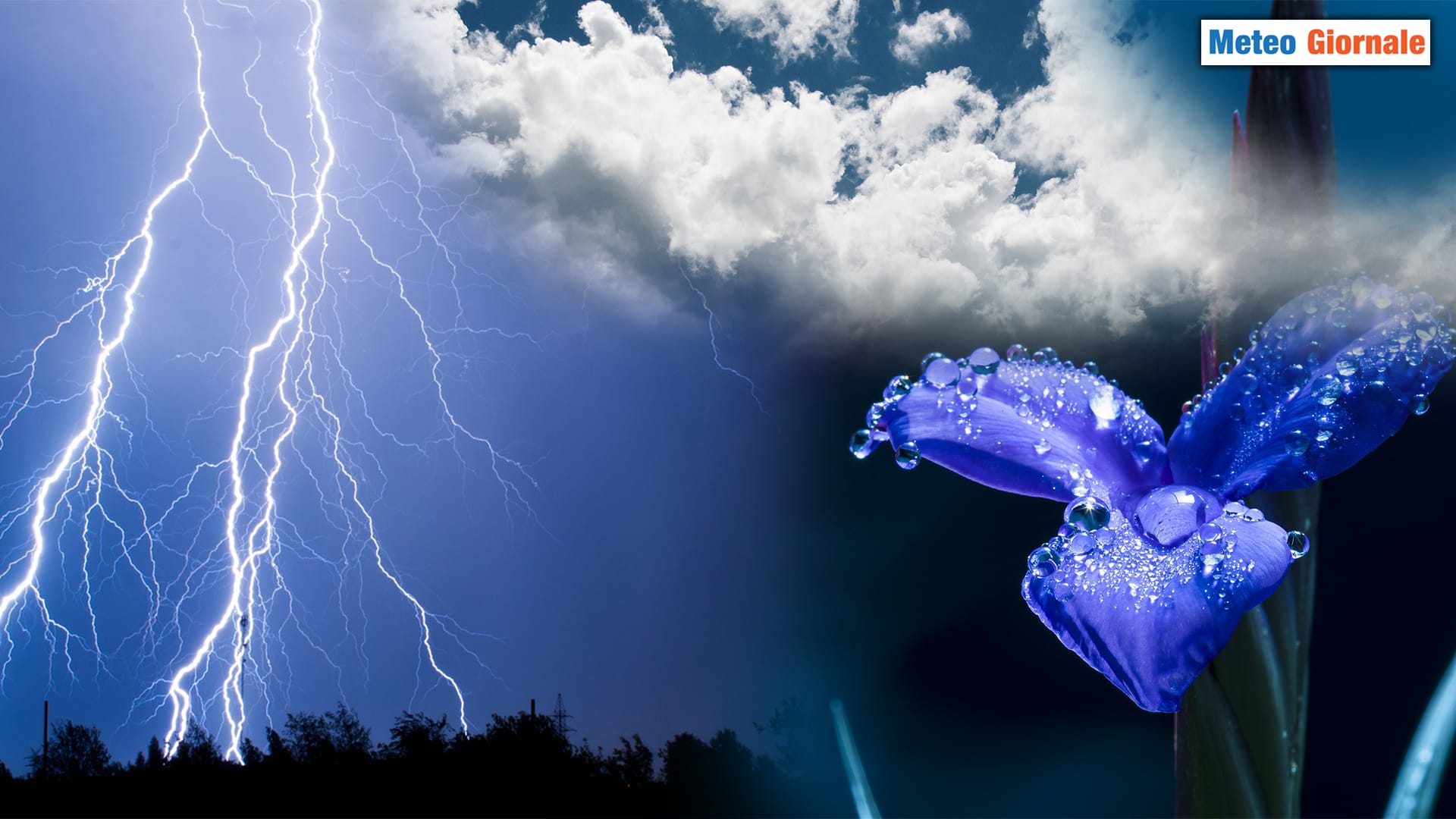 Un'accoglienza ruggente della stagione METEO PRIMAVERILE