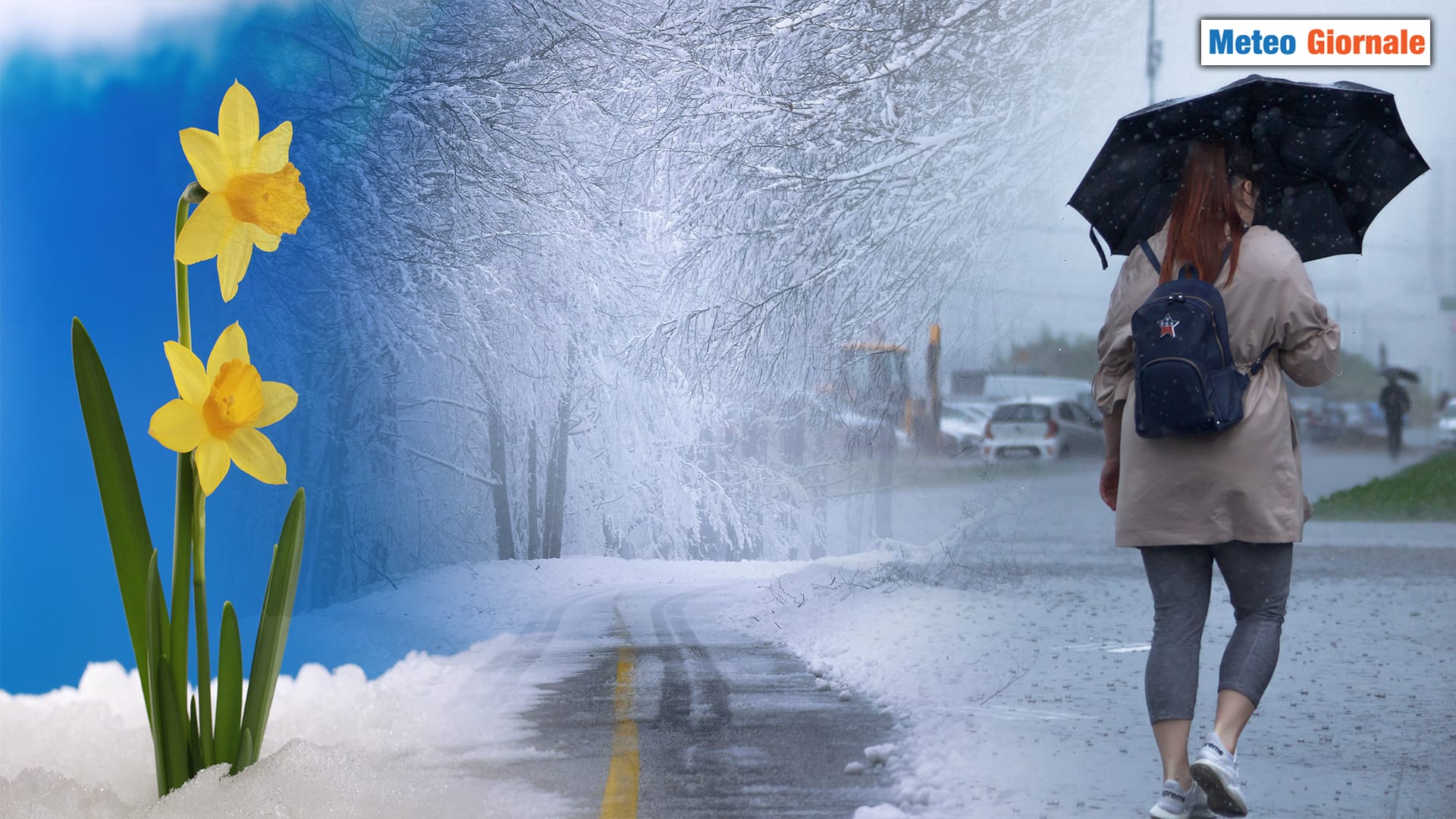 Scossoni meteo che preannunciano la PRIMAVERA