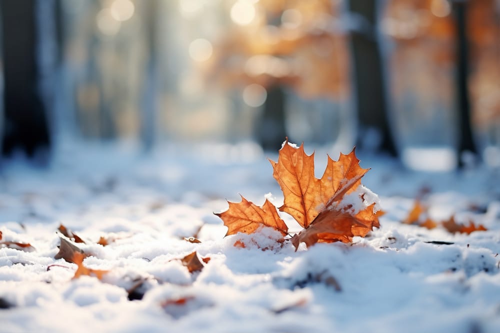 Il ritorno trionfante del meteo invernale in Italia con l’arrivo di febbraio