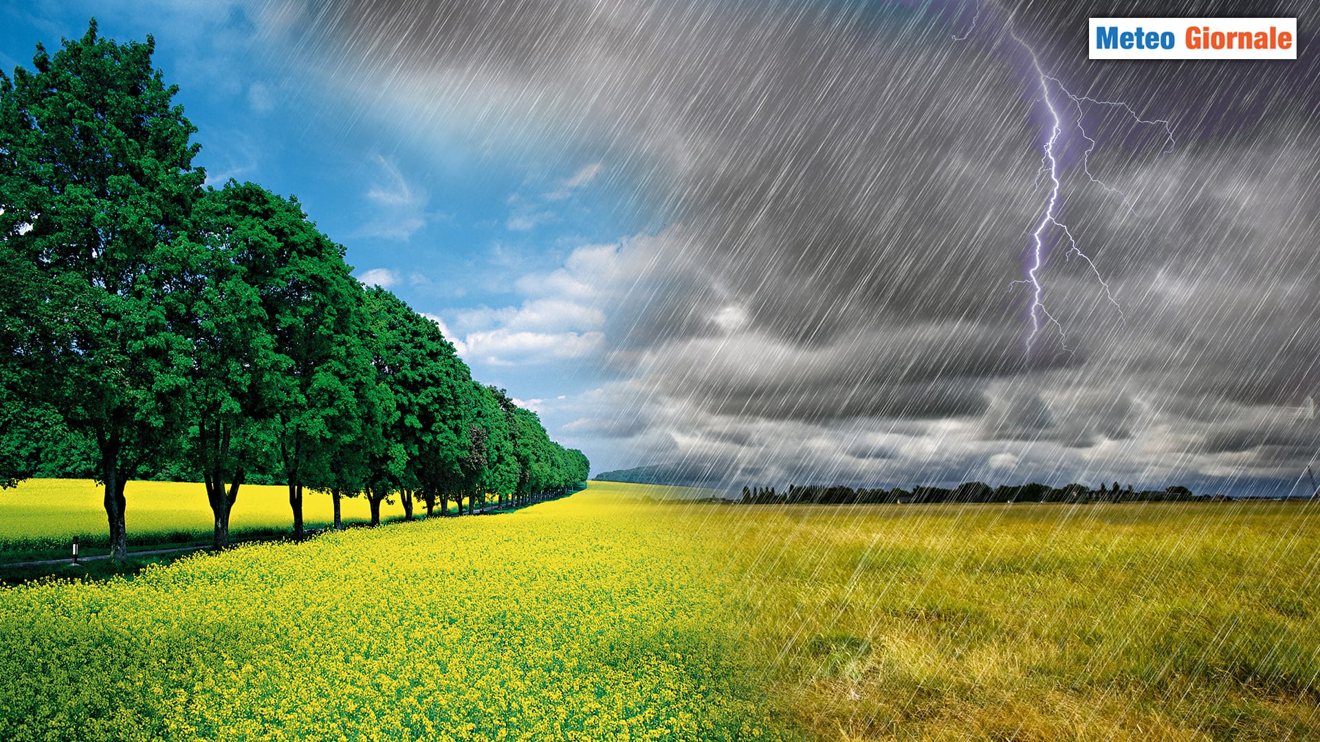 Ormai è chiaro, è meteo di PRIMAVERA