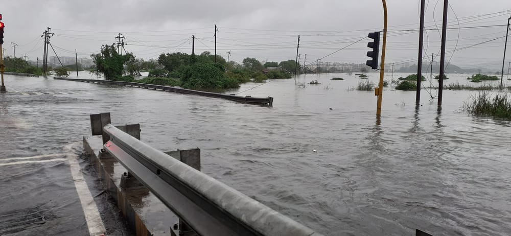 Alluvione a Los Angeles: uomo rischia la vita per salvare il suo cane