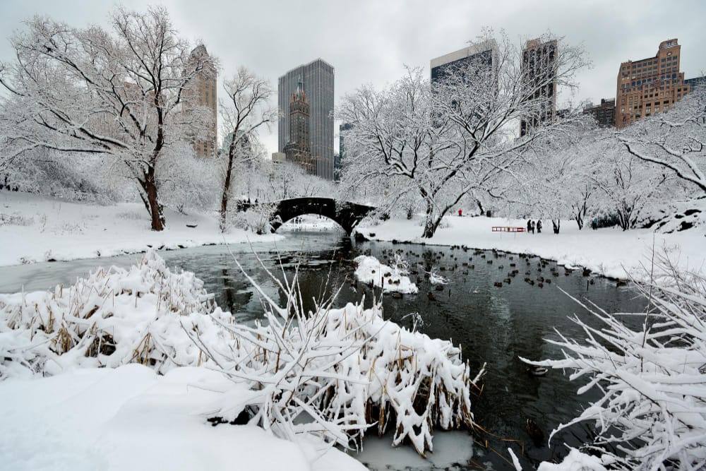 La neve si accumula mentre la tempesta colpisce il nord-est