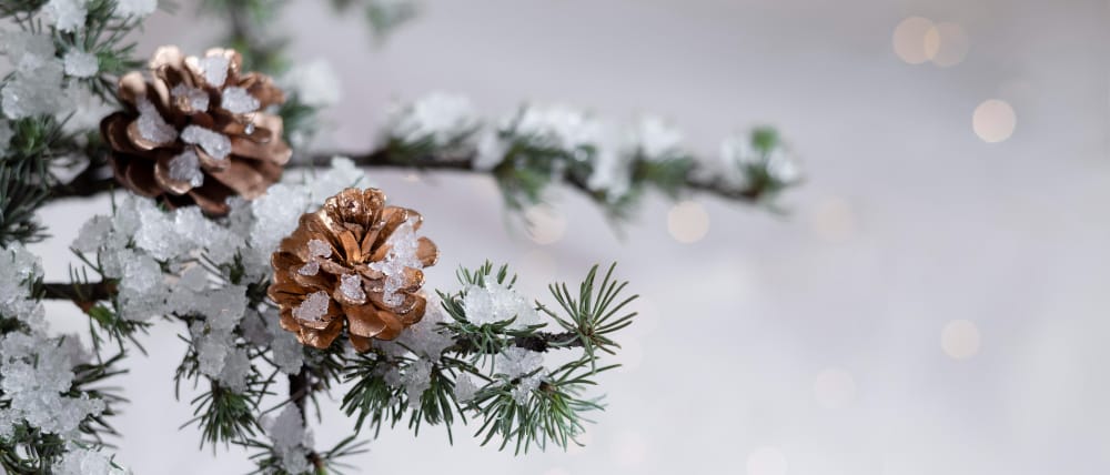 decorative christmas arrangement with copy space