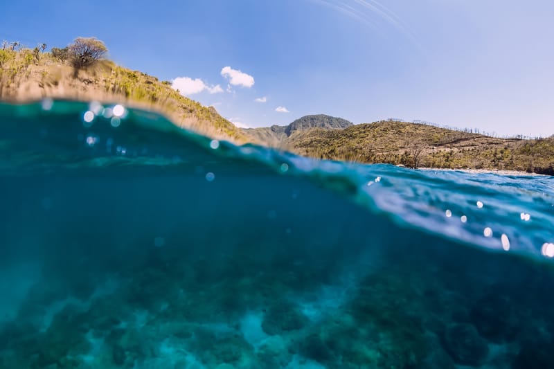 Scoperta una montagna nascosta di 1,5 miglia sotto la superficie oceanica