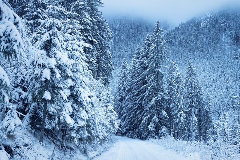 Arriva la neve in alta Valnure, allerta per frane e piene dei torrenti