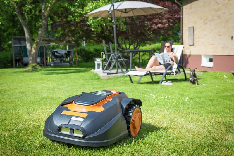 I ricci manichini aiutano a testare la sicurezza dei tosaerba robotici