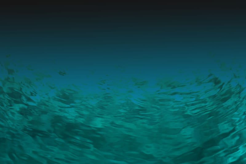 Scoperta accidentale nell’oceano profondo cambia la nostra comprensione della Terra