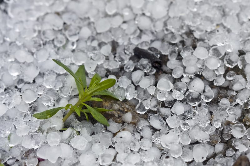 Allerta meteo a Como: forte grandinata nel Canturino