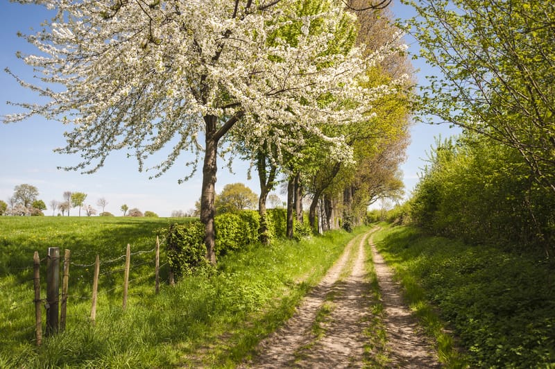 Meteo lunedì maltempo si sposta, arriva anticiclone San Valentino, sarà primavera