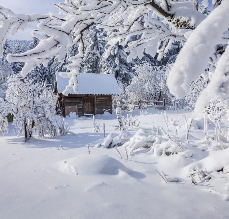 Meteo in Trentino: ancora neve e pioggia con allerta per valanghe