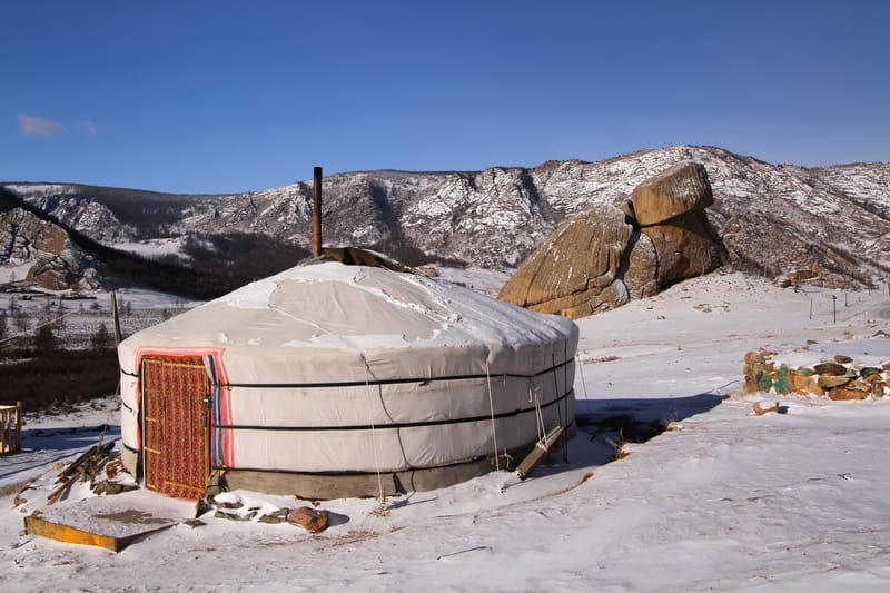 La più grande nevicata invernale dal 1975 e il freddo intenso uccidono quasi 668.000 animali in Mongolia