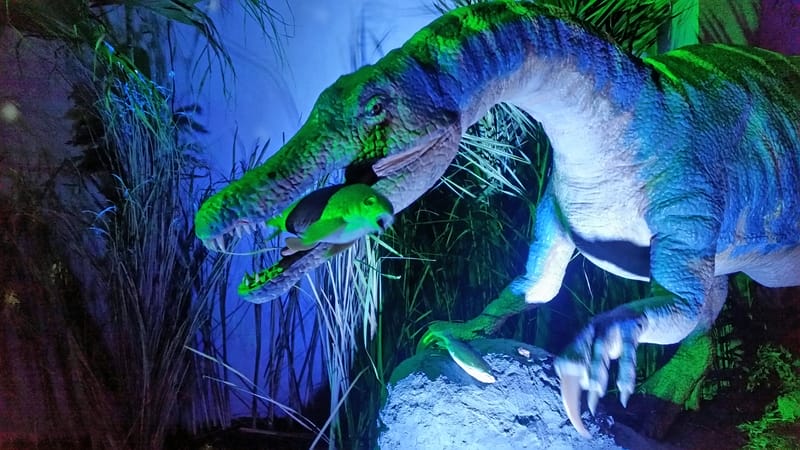 Scoperto fossile di drago di 240 milioni di anni in Cina