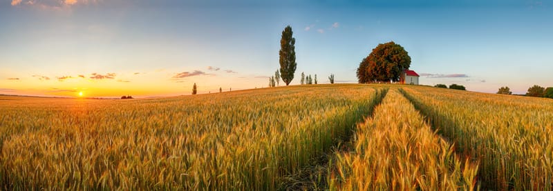 Cambiare i sistemi alimentari può creare benefici economici di miliardi ogni anno