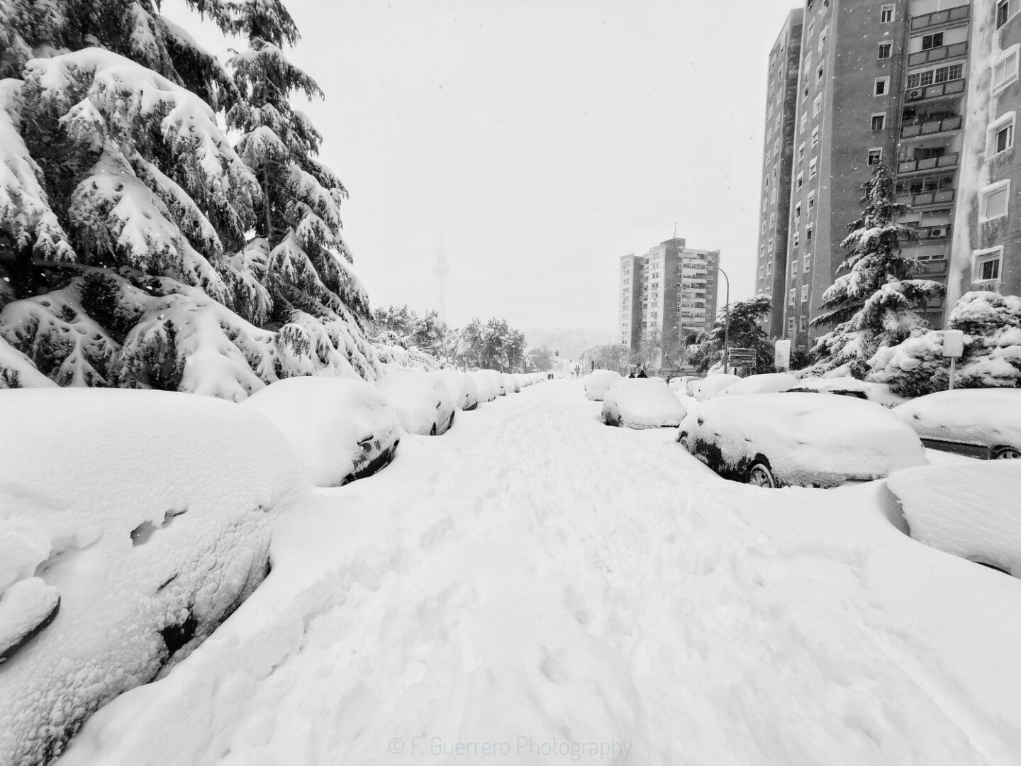 Meteo, bufere di neve di fine Febbraio e Marzo, le peggiori
