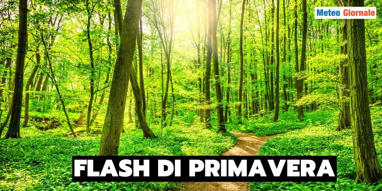 Meteo: Anticiclone da Primavera precoce. Ma non fidiciamoci troppo