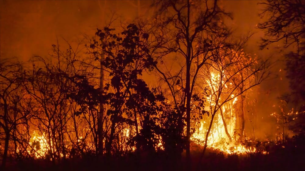 Devastanti incendi in Cile: ci sono molte vittime