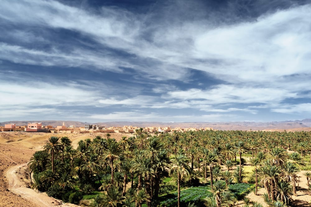 Un fiume artificiale sotto il deserto: il grande progetto di irrigazione in Libia