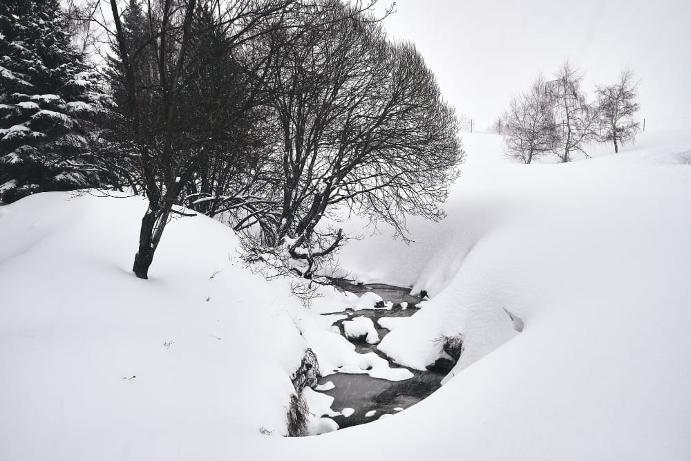 Storica tempesta di neve paralizza la Nuova Scozia in Canada