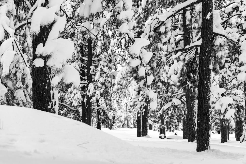 Boston e la nevicata mancata, la tempesta colpisce il Massachusetts ma evita la città