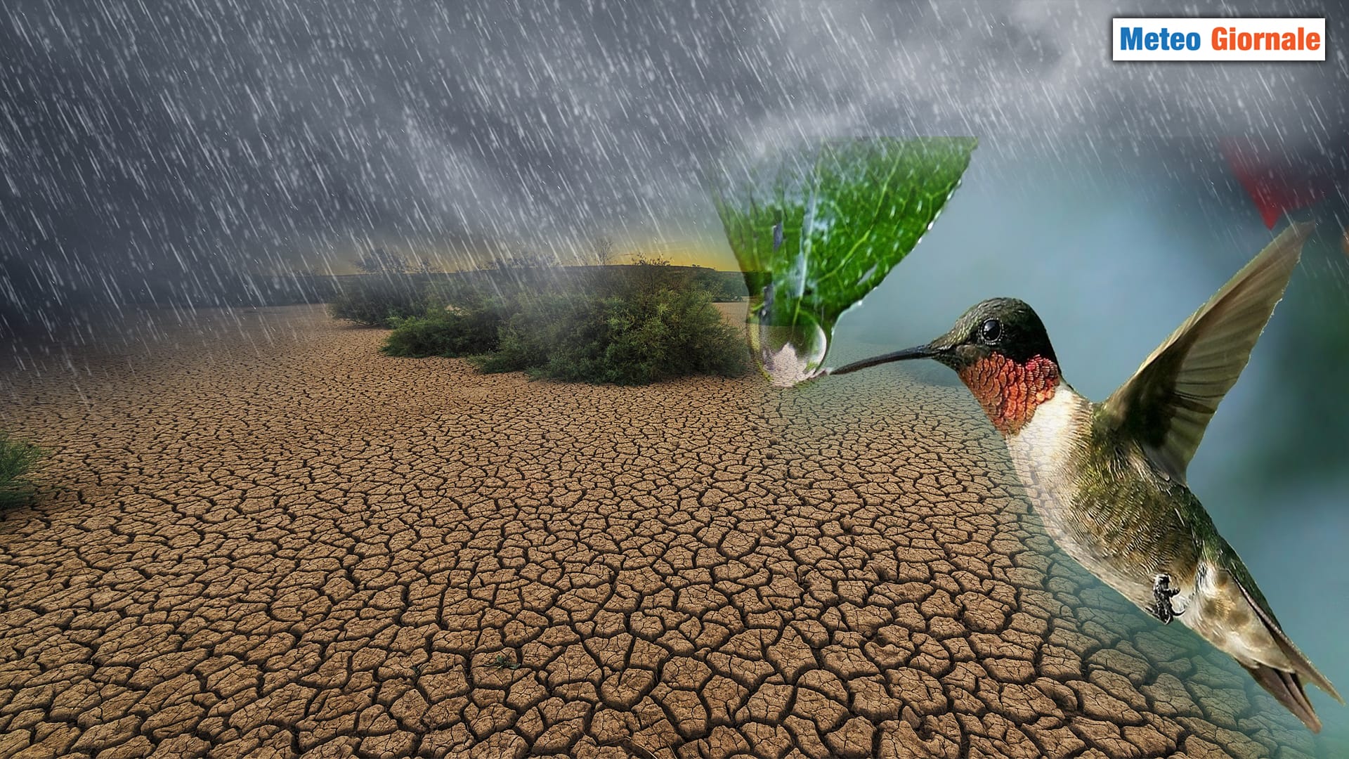 Rigenerazione meteo di PRIMAVERA
