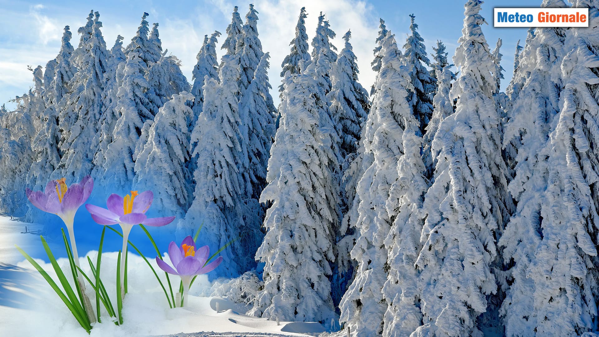 La magia meteo della NEVE "marzolina"