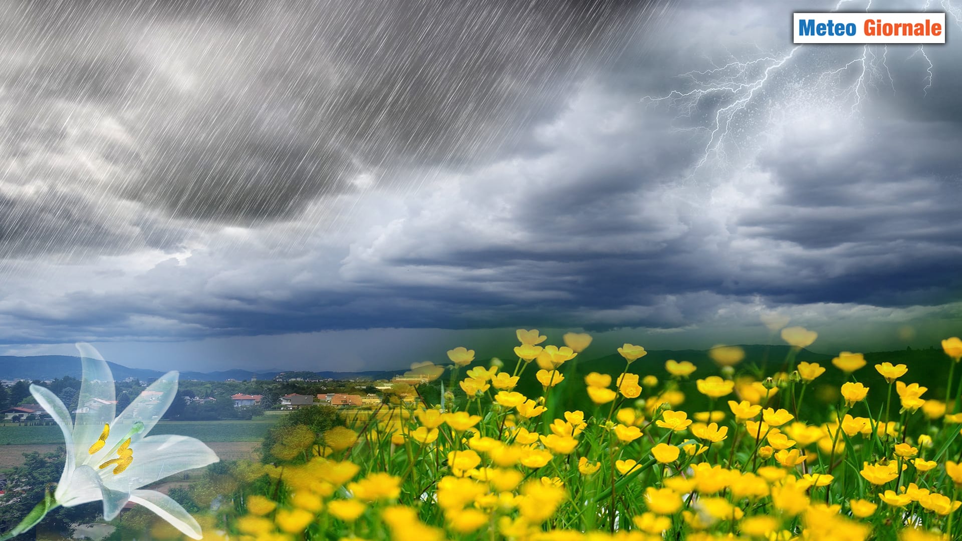 Abbiamo alte aspettative meteo sulla PRIMAVERA