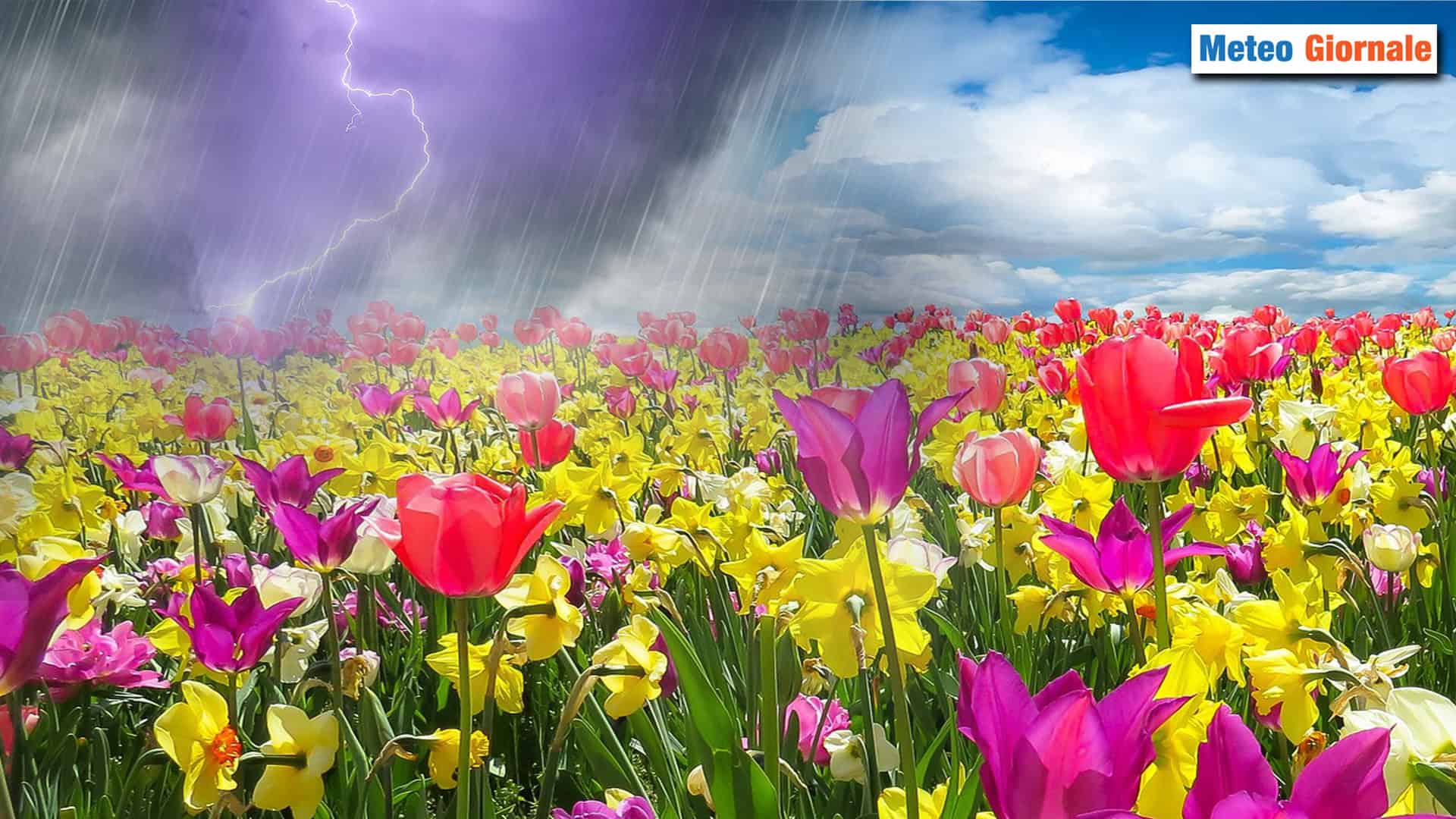 Tutto in PRIMAVERA, l'unica stagione dal METEO accettabile