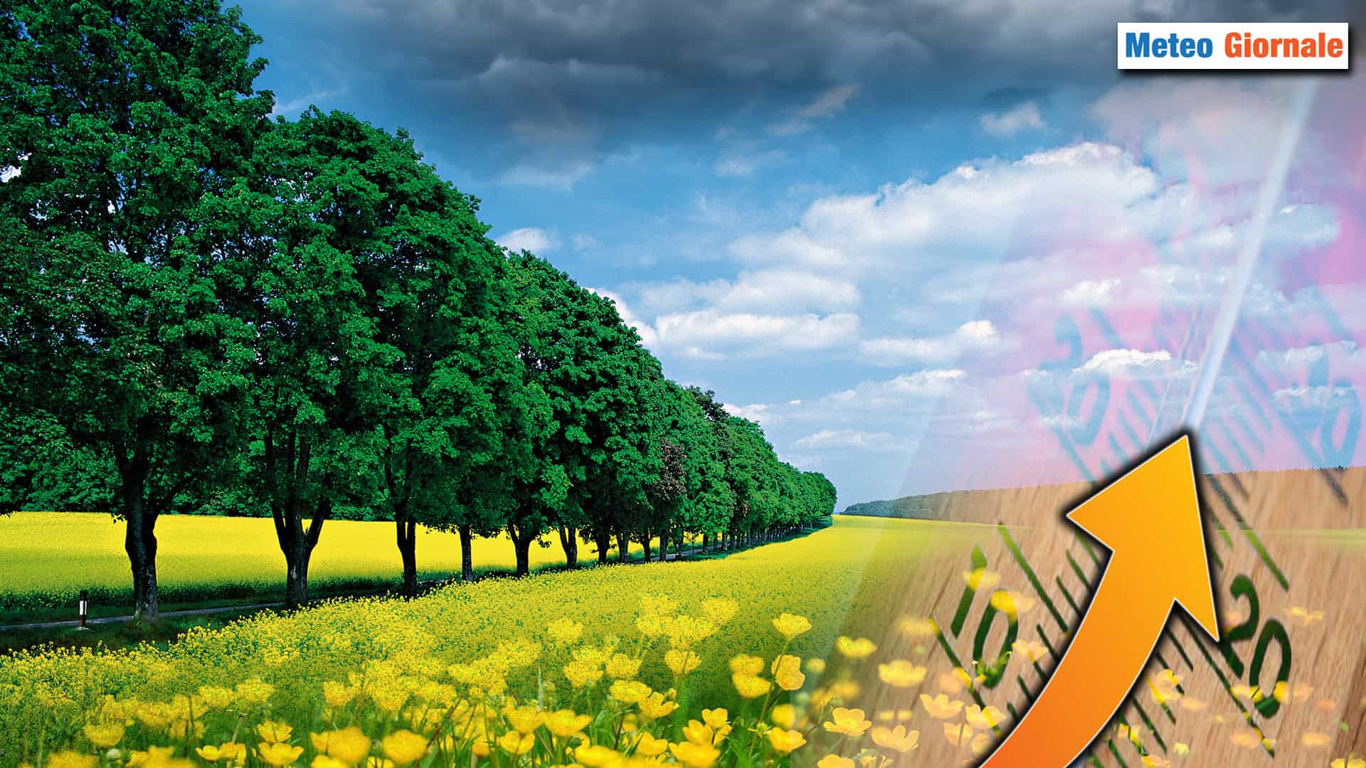 Meteo: TEMPERATURE, scoppia un anticipo di Primavera