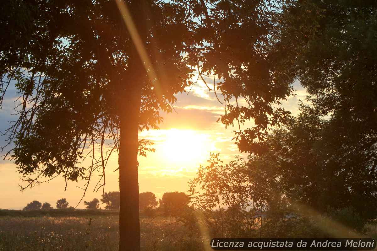 Meteo L’Aquila: domani nuvoloso e piovaschi, poi schiarite e pioggia intermittente