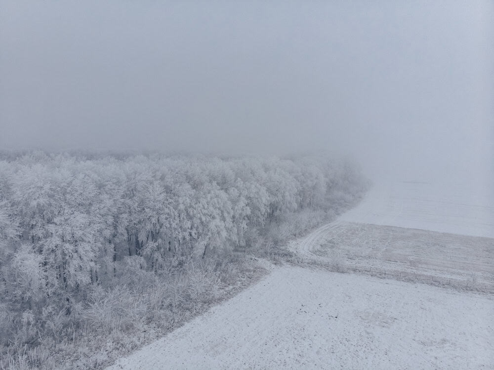 Tempesta invernale colpisce Denver, previsti oltre 120 cm di neve nelle colline del Front Range, Colorado