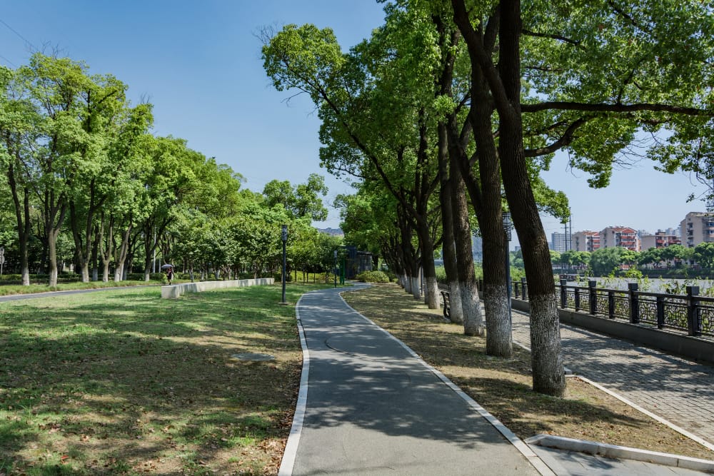 L’importanza della vegetazione nel modellare il microclima urbano: un’analisi approfondita