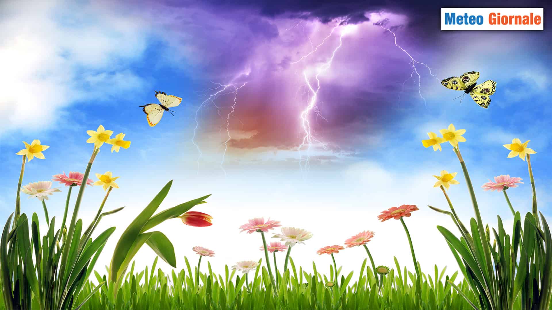 Niente meteo d'INVERNO e d'AUTUNNO? Tranquilli, c'è la PRIMAVERA